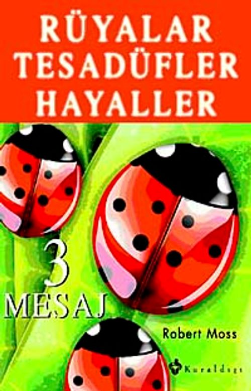 Rüyalar Tesadüfler Hayaller 3 Mesaj