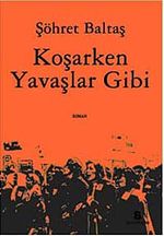 Koşarken Yavaşlar Gibi