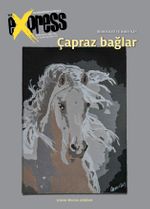 Bir+Bir Express, Sayı:155