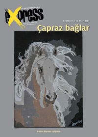 Bir+Bir Express, Sayı:155