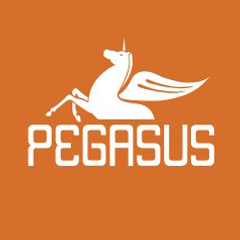 PEGASUS YAYINLARI