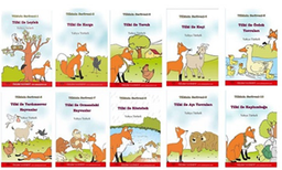 Tilkinin Serüveni (10 Kitap Takım)