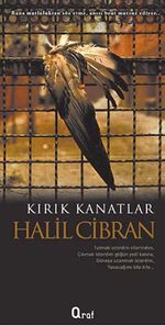 Kırık Kanatlar