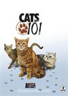 Kediler - Cats 101 (4 DVD)