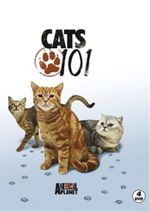 Kediler - Cats 101 (4 DVD)