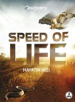  Speed of Life - Hayatın Hızı (3 DVD)