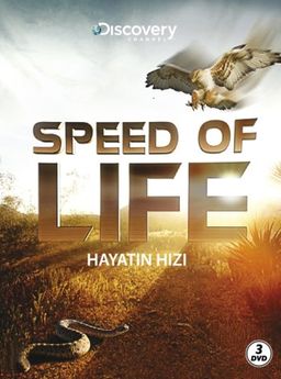  Speed of Life - Hayatın Hızı (3 DVD)