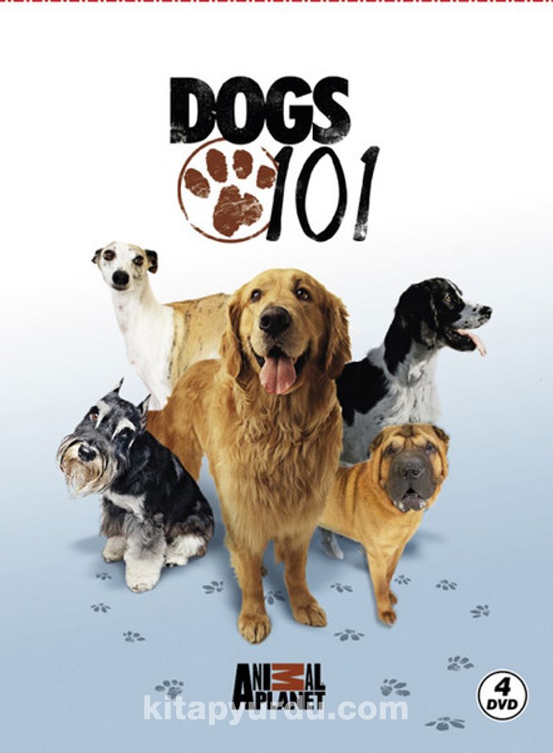 Dogs 101 - Köpekler (4 DVD)