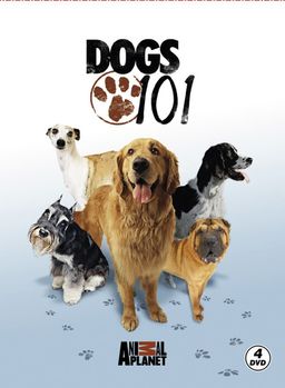 Dogs 101 - Köpekler (4 DVD)