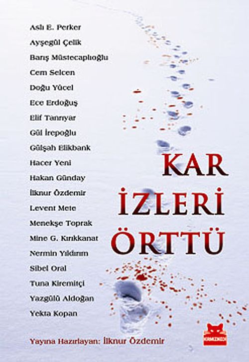 Kar İzleri Örttü