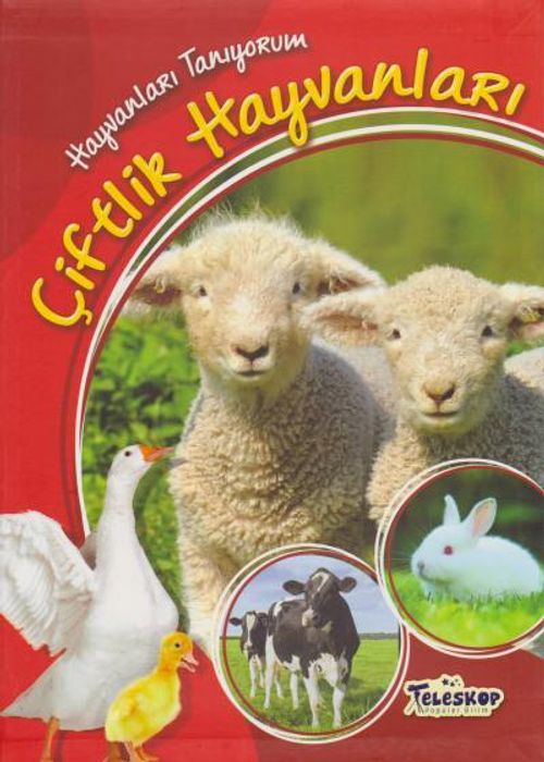 Çiftlik Hayvanları / Hayvanları Tanıyorum