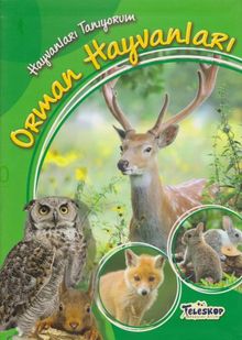 Orman Hayvanları / Hayvanları Tanıyorum