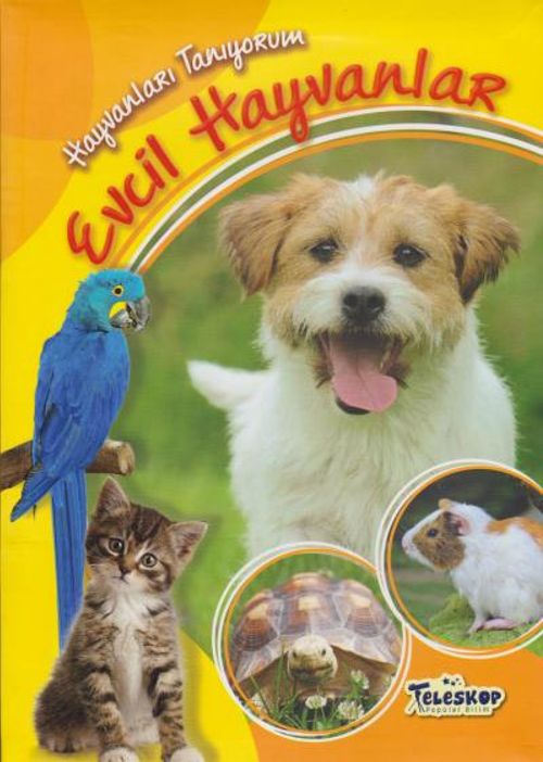 Evcil Hayvanlar / Hayvanları Tanıyorum