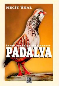 Padalya