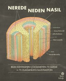 Nerede, Neden, Nasıl