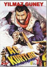Aç Kurtlar (Dvd)