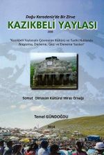 Kazık Beli Yaylası