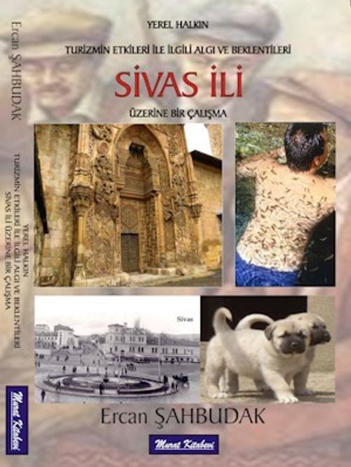Sivas İli Üzerine Bir Çalışma & Turizmin Etkileri İle İlgili Algı ve Beklentileri