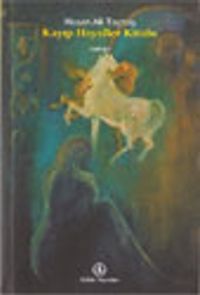 Kayıp Hayaller Kitabı