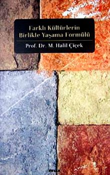 Farklı Kültürlerin Birlikte Yaşama Formülü