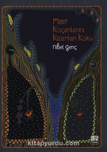 Mısır Koçanlarını Kızartan Koku - Nibel Genç