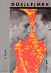Düş (le)mek