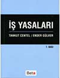 İş Yasaları