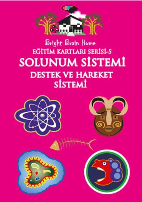 Solunum Sistemi Destek ve Hareket Sistemi / Eğitim Kartları Serisi 5