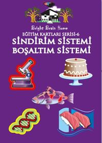 Sindirim Sistemi - Boşaltım Sistemi / Eğitim Kartları Serisi 6