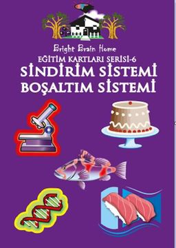 Sindirim Sistemi - Boşaltım Sistemi / Eğitim Kartları Serisi 6