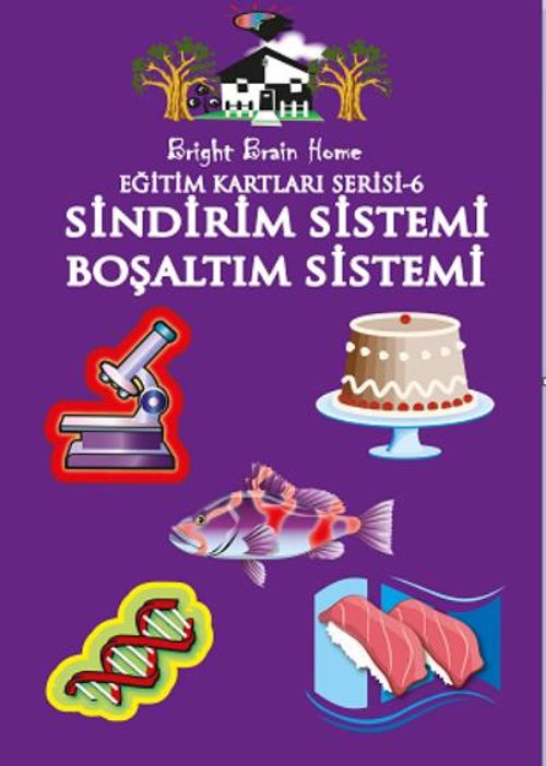 Sindirim Sistemi - Boşaltım Sistemi / Eğitim Kartları Serisi 6