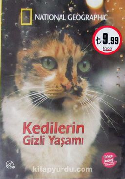Kedilerin Gizli Yaşamı (Dvd)