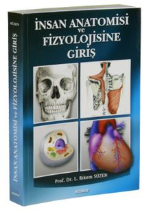 İnsan Anatomisi ve Fizyolojisine Giriş