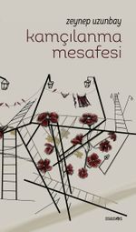 Kamçılanma Mesafesi