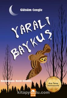 Yaralı Baykuş - Gülsüm Cengiz