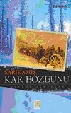 Sarıkamış Kar Bozgunu