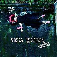 Veda Busesi 34U442