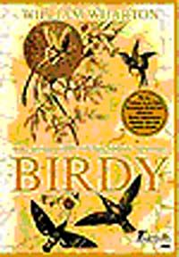 Birdy & Aşk, Savaş, Delilik ve 'Kuş' Olmak Üzerine