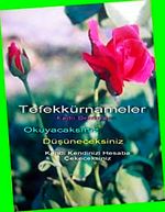 Tefekkürnameler