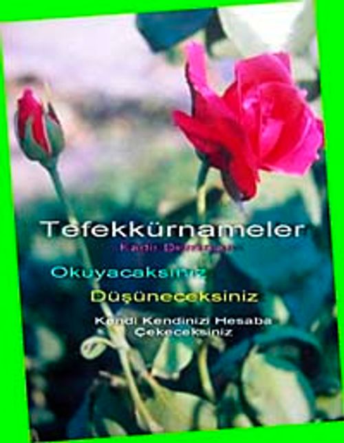 Tefekkürnameler