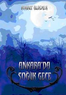 Ankara'da Soğuk Gece