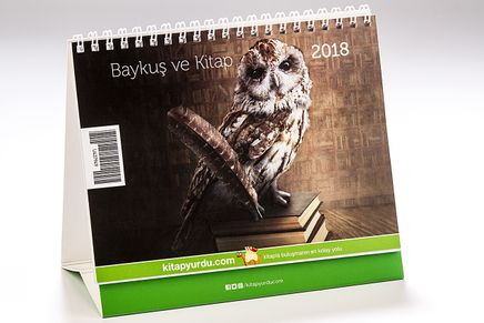 2018 Kitapyurdu Masa Takvimi (Baykuşlar)