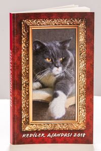 2018 Kediler Ajandası (Küçük Boy)
