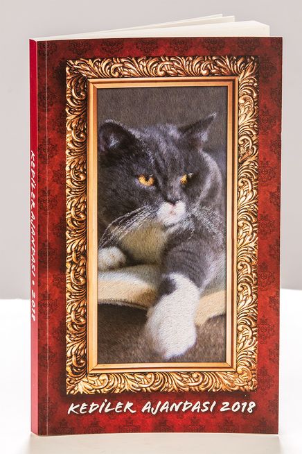 2018 Kediler Ajandası (Küçük Boy)