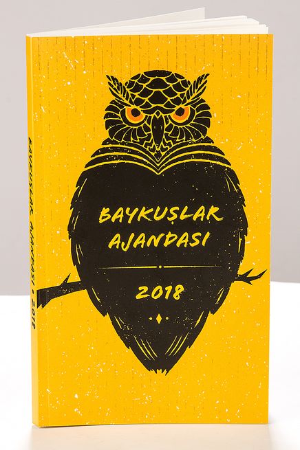 2018 Baykuşlar Ajandası (Küçük Boy)