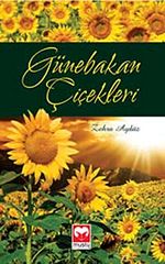 Günebakan Çiçekleri