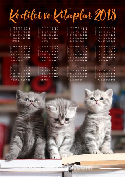 2018 Takvimli Poster - Kediler ve Kitaplar - Sevimli