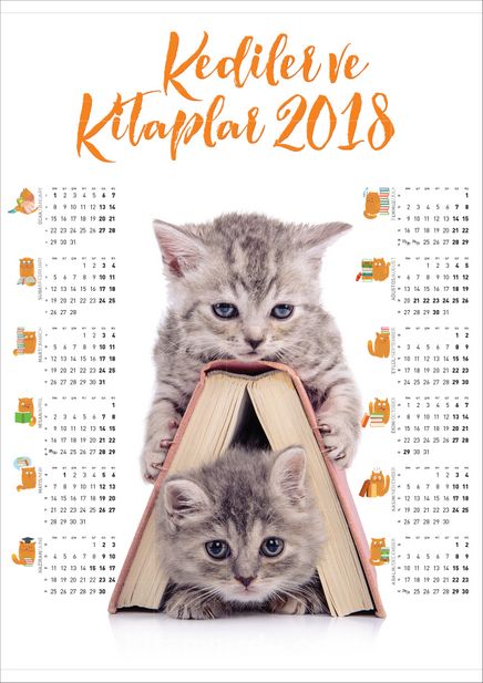 2018 Takvimli Poster - Kediler ve Kitaplar - Kitap Ev