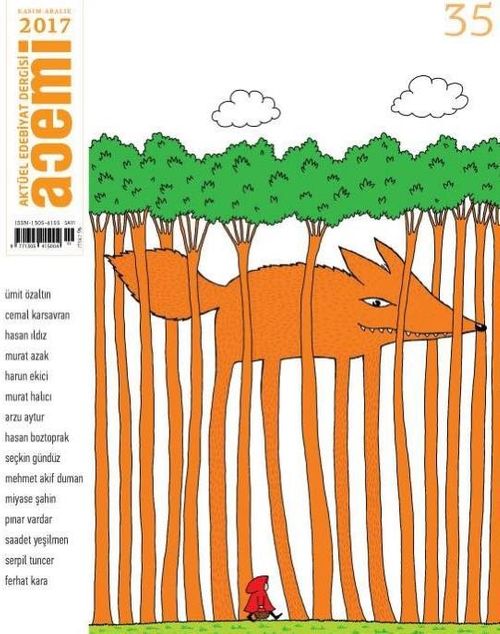 Acemi Aktüel İki Aylık Popüler Edebiyat Dergisi Kasım-Aralık Yıl:2017 Sayı:35