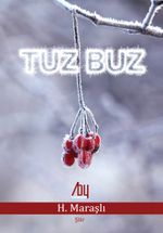 Tuz Buz 